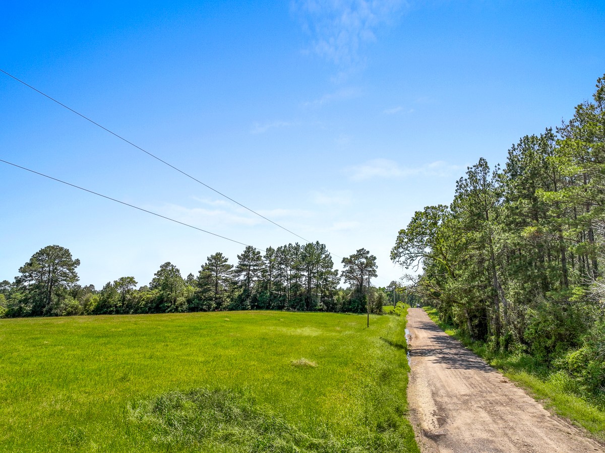 0 Sanford Road Corrigan, TX 75939 - Photo 12 of 17 a view of a field with grass