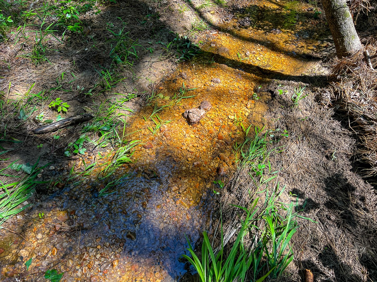 0 Sanford Road Corrigan, TX 75939 - Photo 6 of 17 a view of a tree with a yard