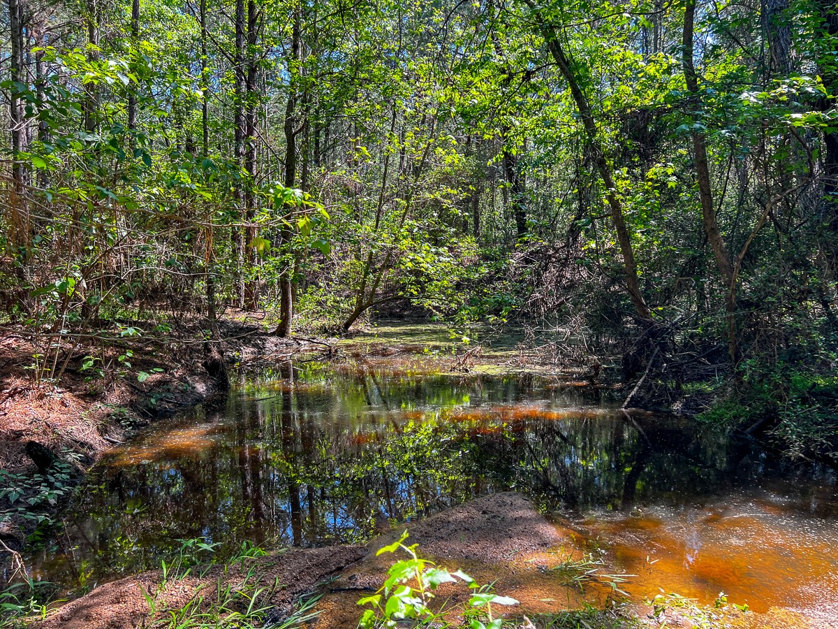 0 Sanford Road Corrigan, TX 75939 - Photo 7 of 17
