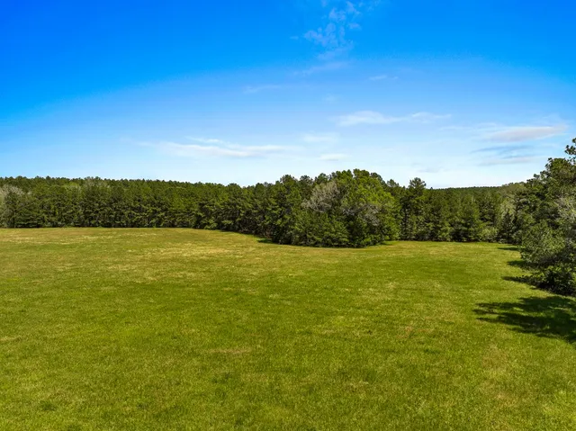 a view of a large yard with plants and flowers