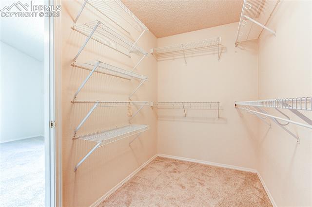 353 Talus Road Monument, CO 80132 - Photo 19 of 30