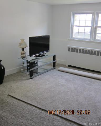 93 Woodview Road West Hempstead, NY 11552 - Photo 22 of 25