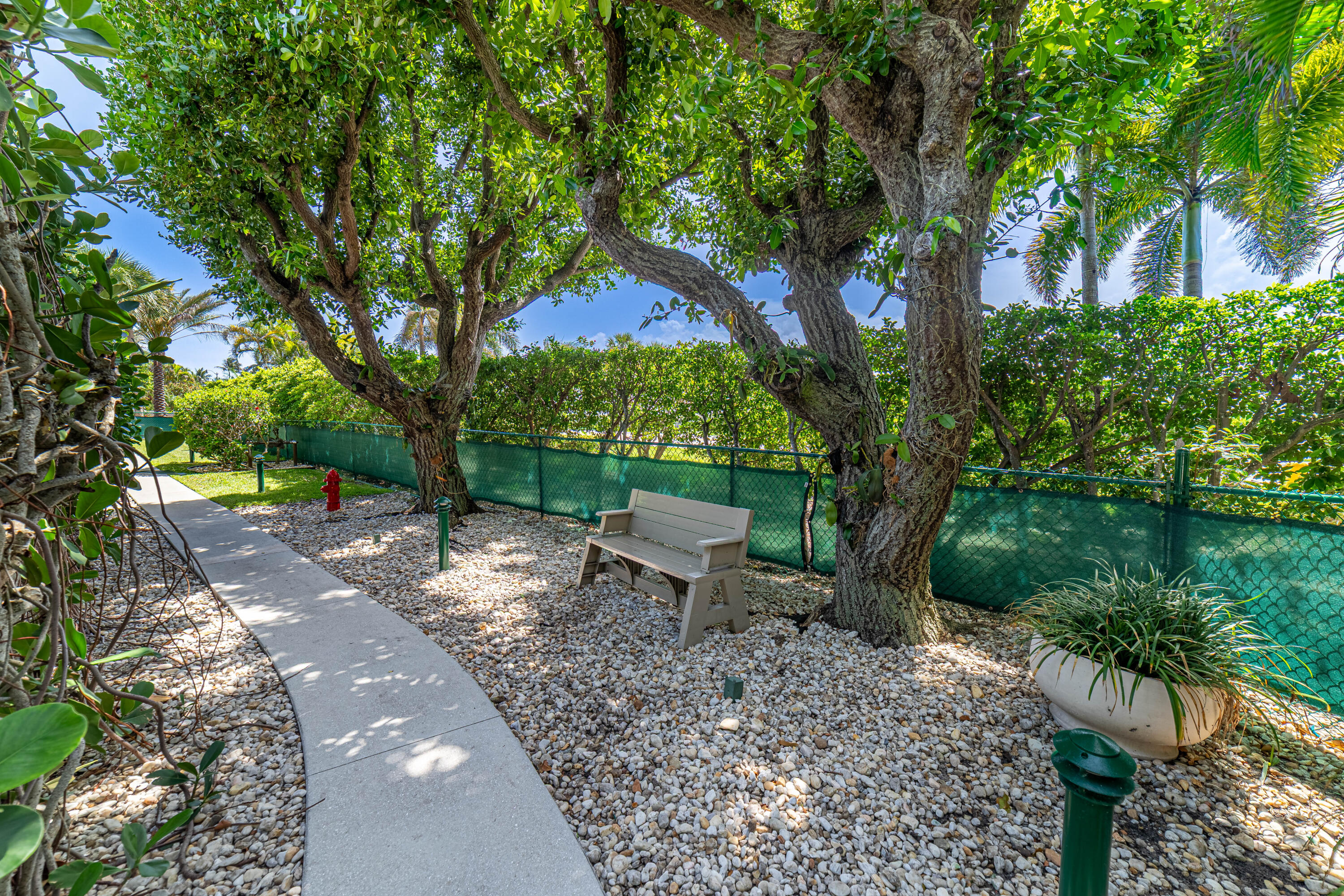 3250 South Ocean Boulevard, Unit 507N Palm Beach, FL 33480 - Photo 55 of 56 a view of a backyard with large trees