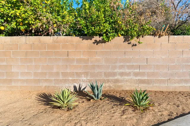 a view of a backyard with plants and a patio