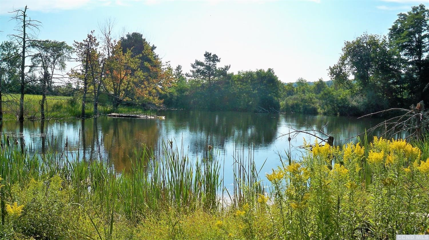 0 Cochrane Road Durham, NY 12422 - Photo 3 of 7 Photo 3