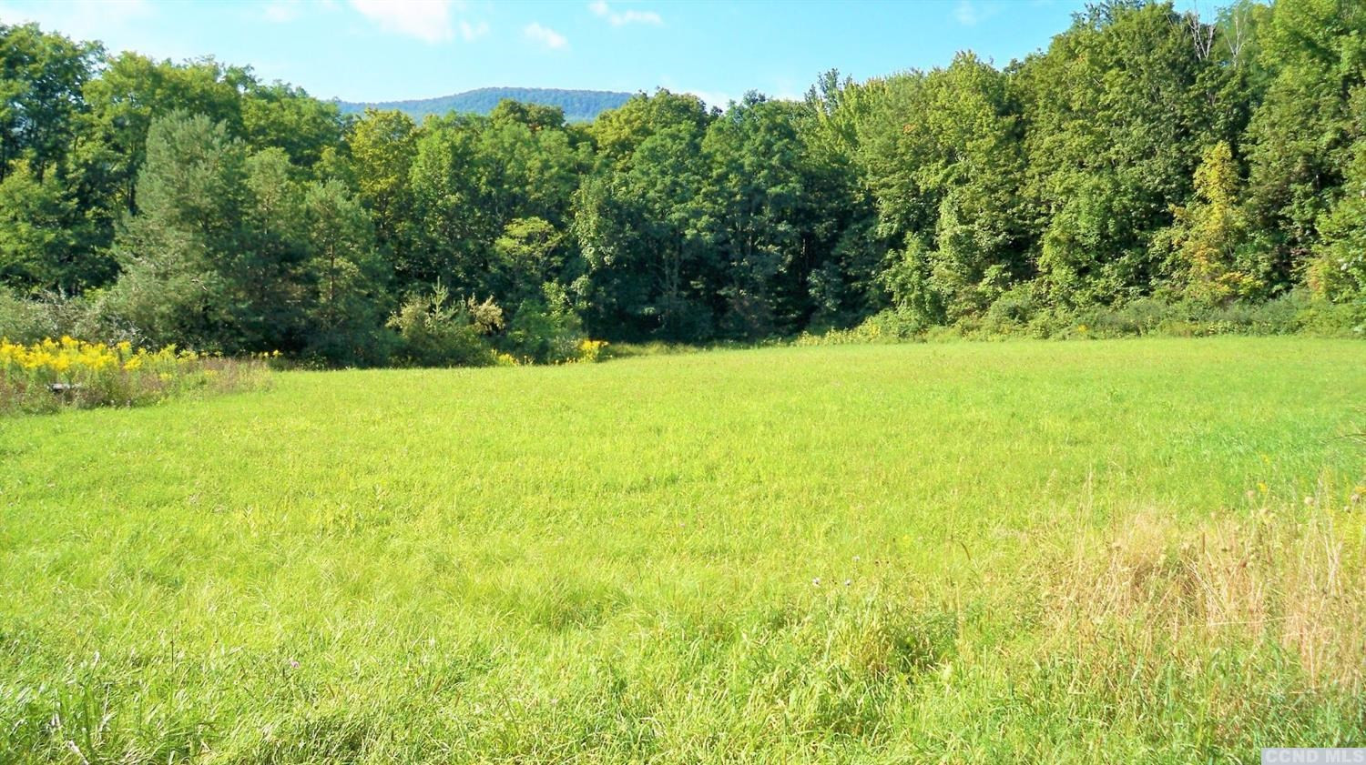 0 Cochrane Road Durham, NY 12422 - Photo 4 of 7 Photo 4