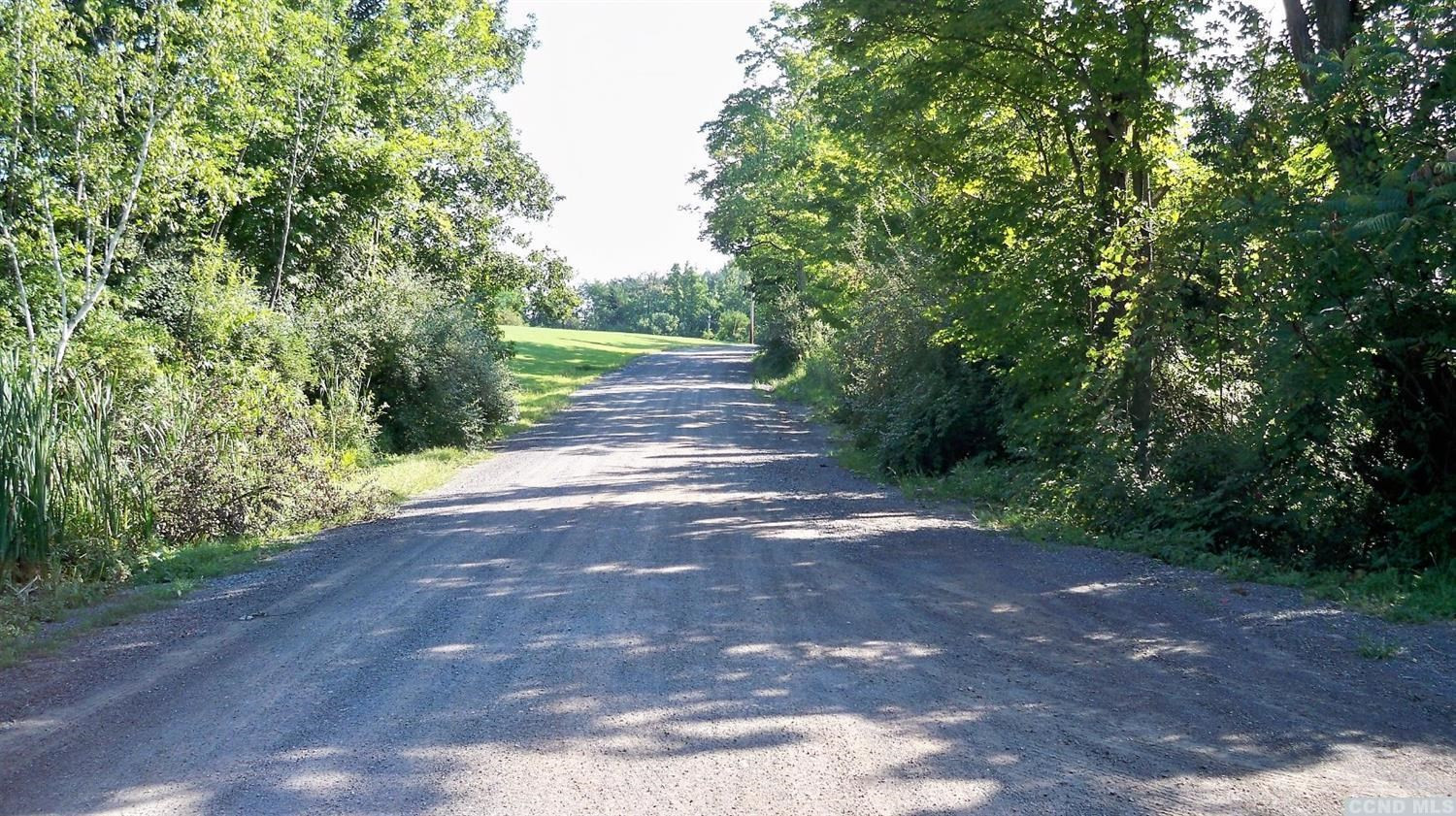 0 Cochrane Road Durham, NY 12422 - Photo 5 of 7 Photo 5