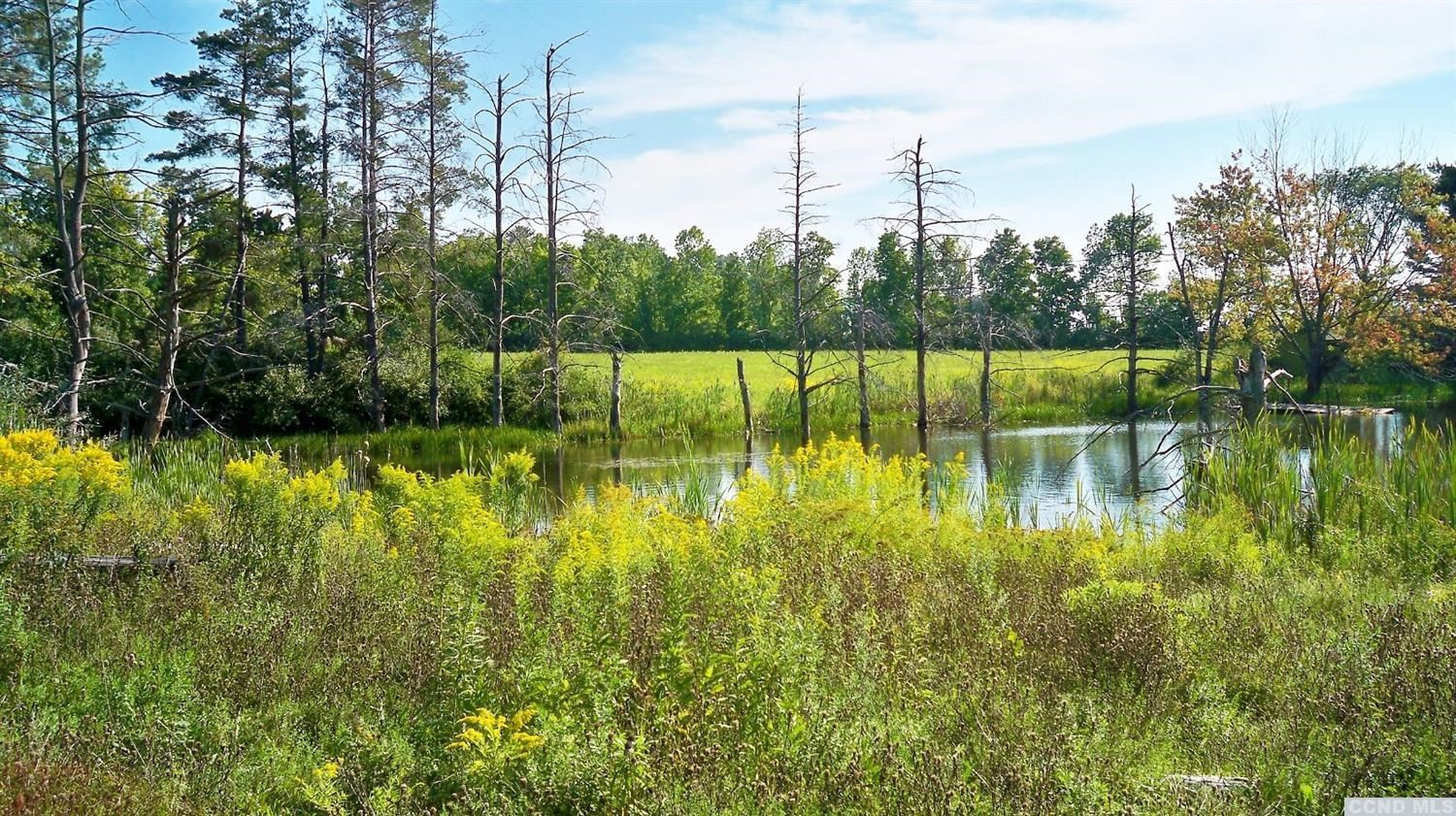 0 Cochrane Road Durham, NY 12422 - Photo 6 of 7 Photo 6