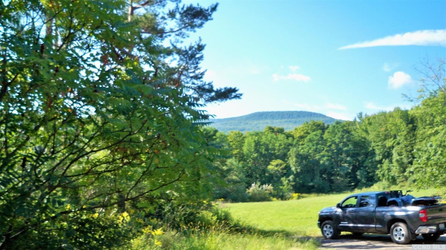 0 Cochrane Road Durham, NY 12422 - Photo 7 of 7 Photo 7