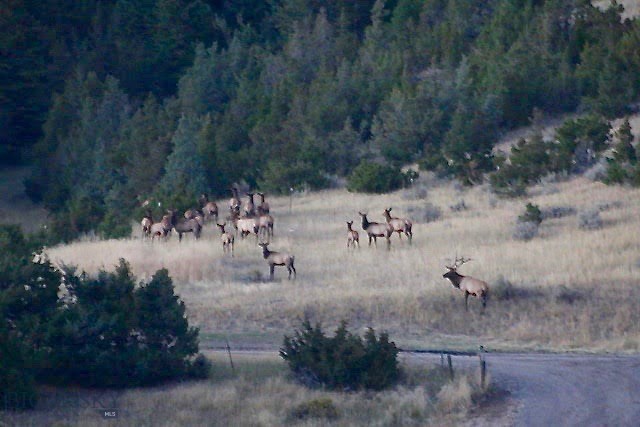 640 Six Mile Road Toston, MT 59643 - Photo 1 of 1 Gallery Image 1