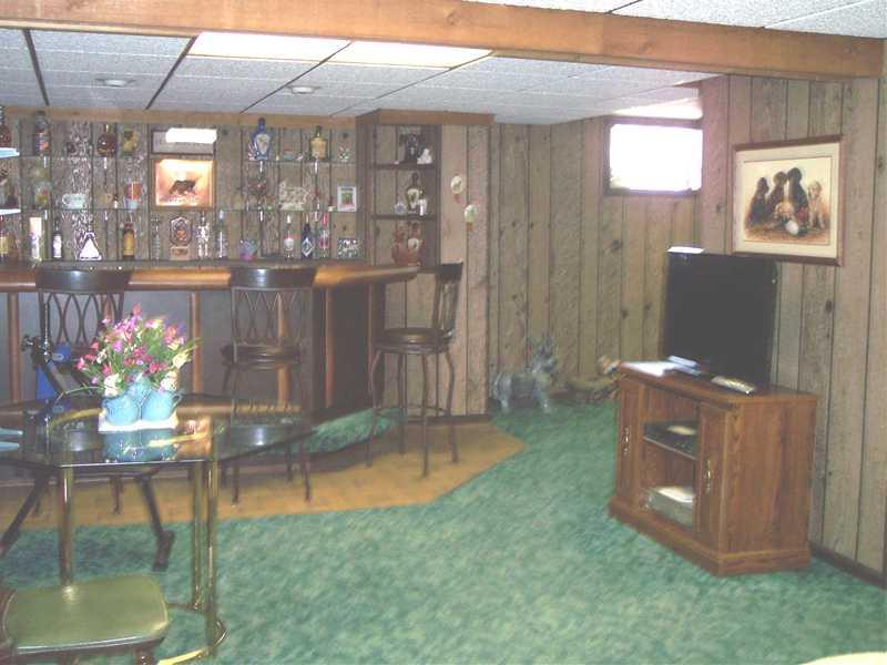 Family Room. LL family-room with real barn-wood walls, carpeted and with a wet bar and shelving.