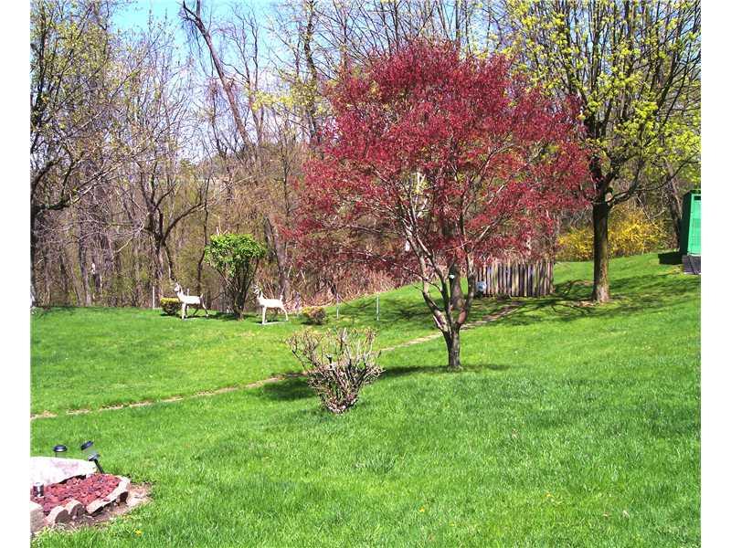 146 Jacks Run Road Pittsburgh, PA 15214 - Photo 10 of 14 Yard/Garden. View from back porch of yard in back that backs up to the woods.