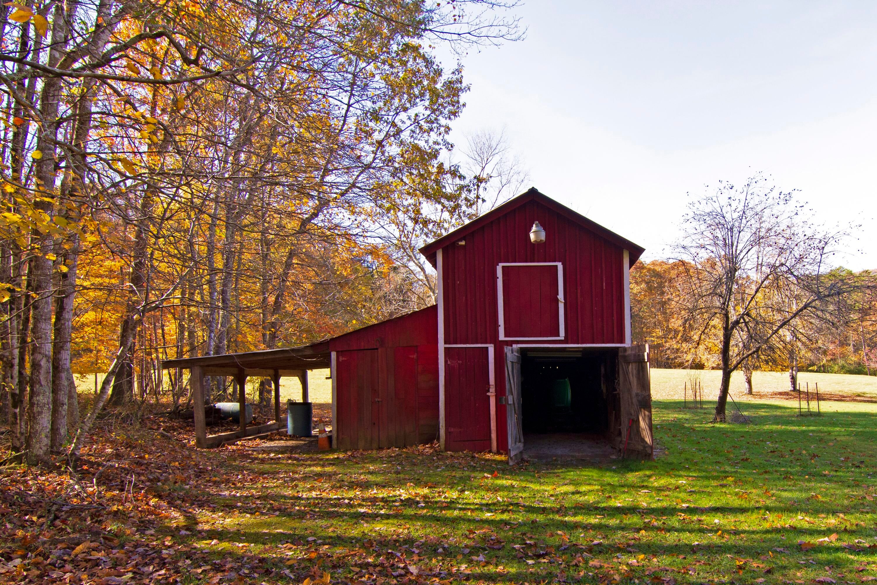 310 Rays Siding Road Waiteville, WV 24984 - Photo 86 of 148 Gallery Image 86
