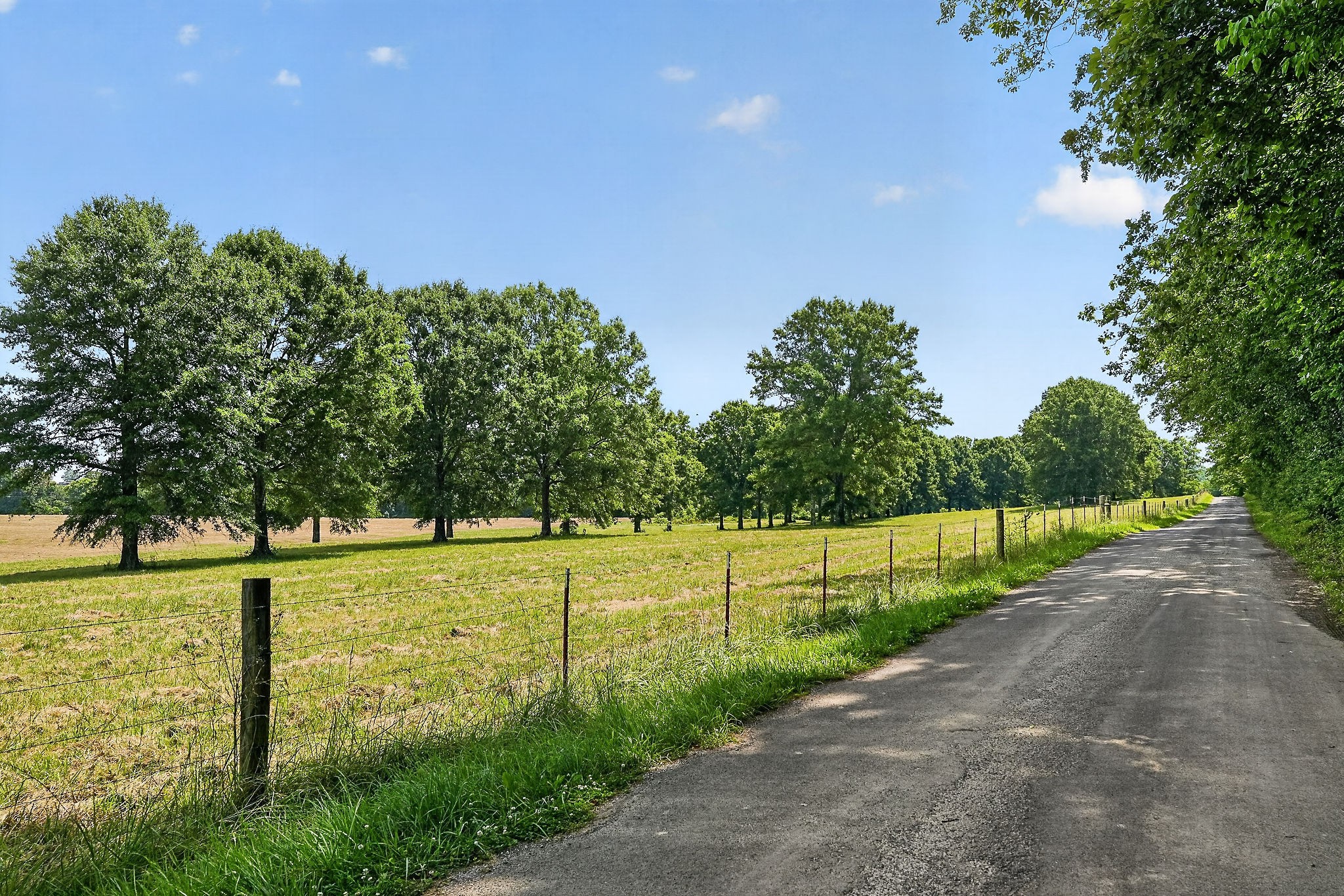 1600 Magness Road McMinnville, TN 37110 - Photo 43 of 63