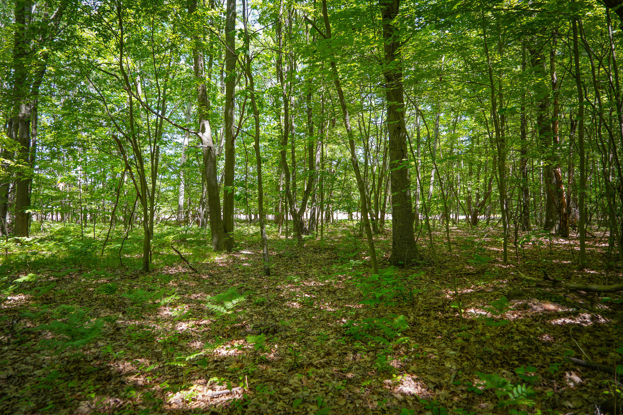 14308 Church Road Howard City, MI 49329 - Photo 28 of 52 DSC00197