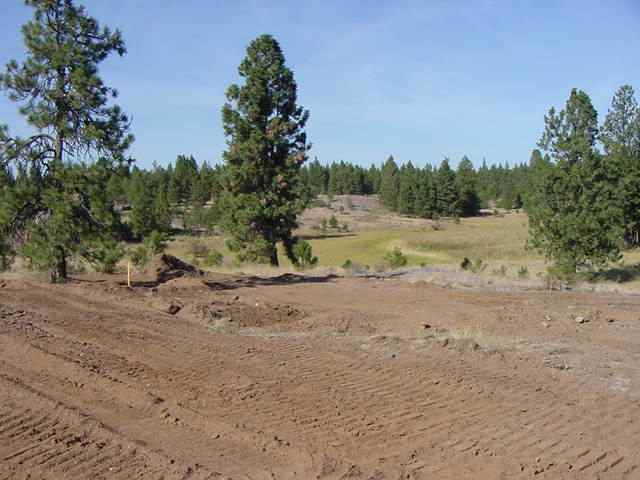 26507 West Carman Road Cheney, WA 99004 - Photo 5 of 5