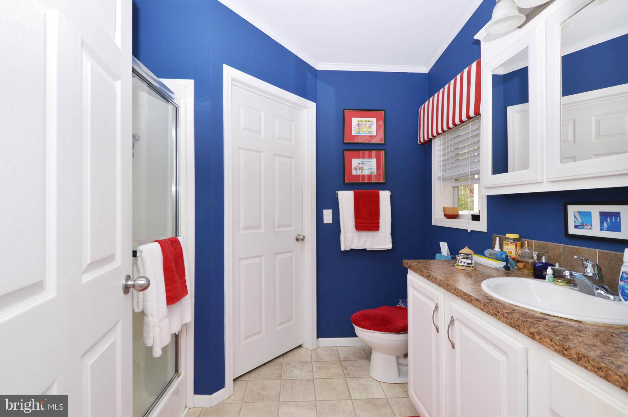 13663 Bottom Road Hydes, MD 21082 - Photo 24 of 30 Bath (Master)