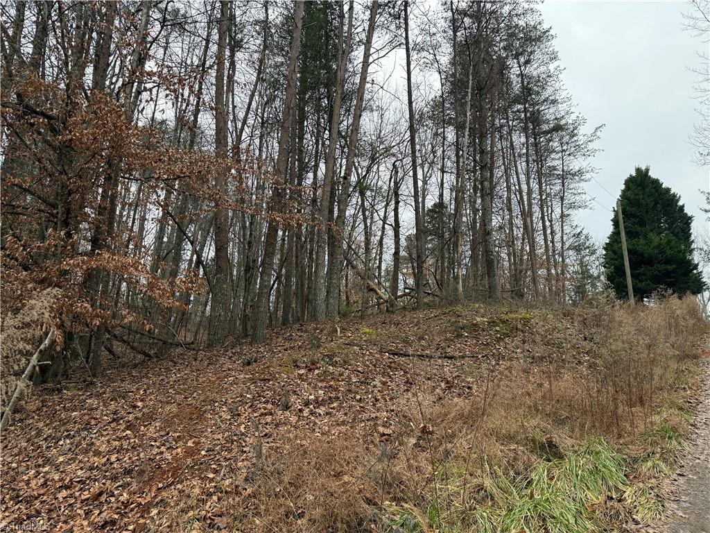 Lot 44 Creekside Way Road Pinnacle, NC 27043 - Photo 2 of 6