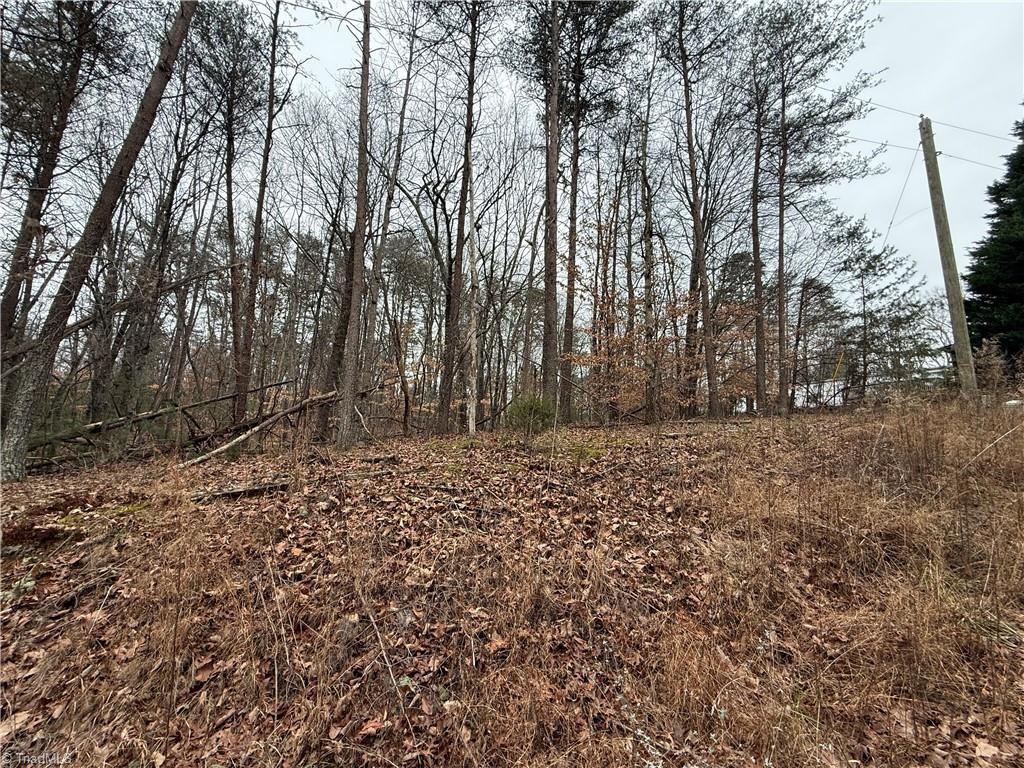 Lot 44 Creekside Way Road Pinnacle, NC 27043 - Photo 4 of 6