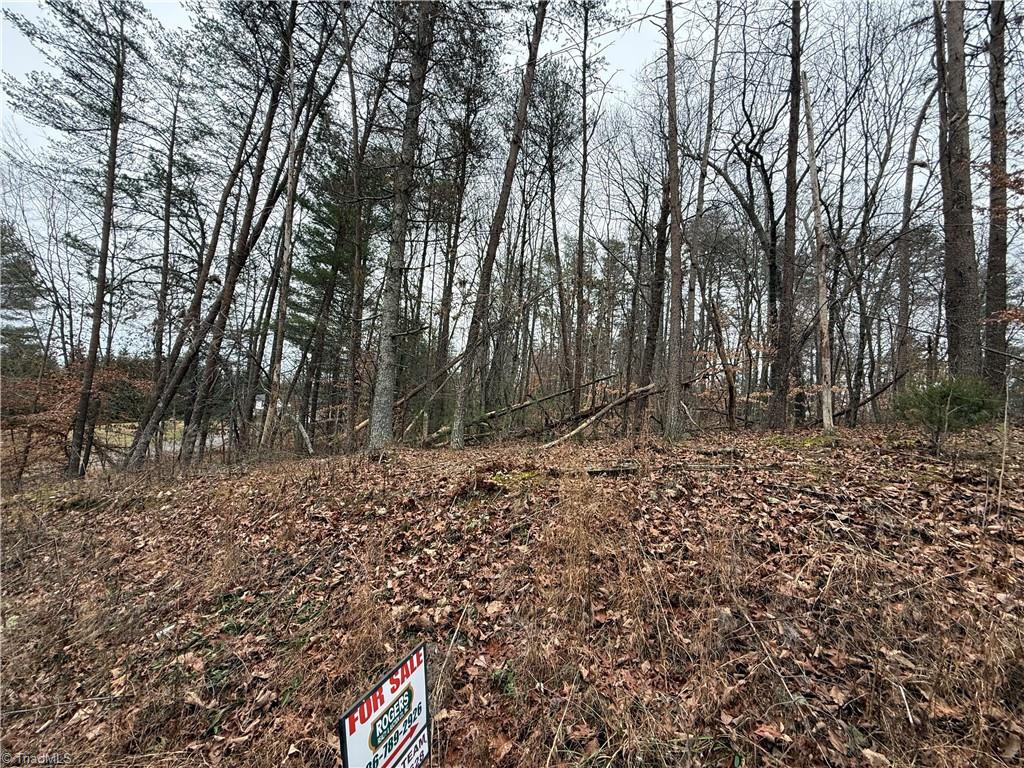 Lot 44 Creekside Way Road Pinnacle, NC 27043 - Photo 5 of 6