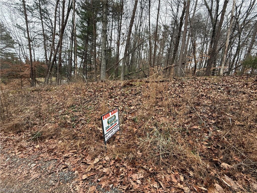 Lot 44 Creekside Way Road Pinnacle, NC 27043 - Photo 6 of 6