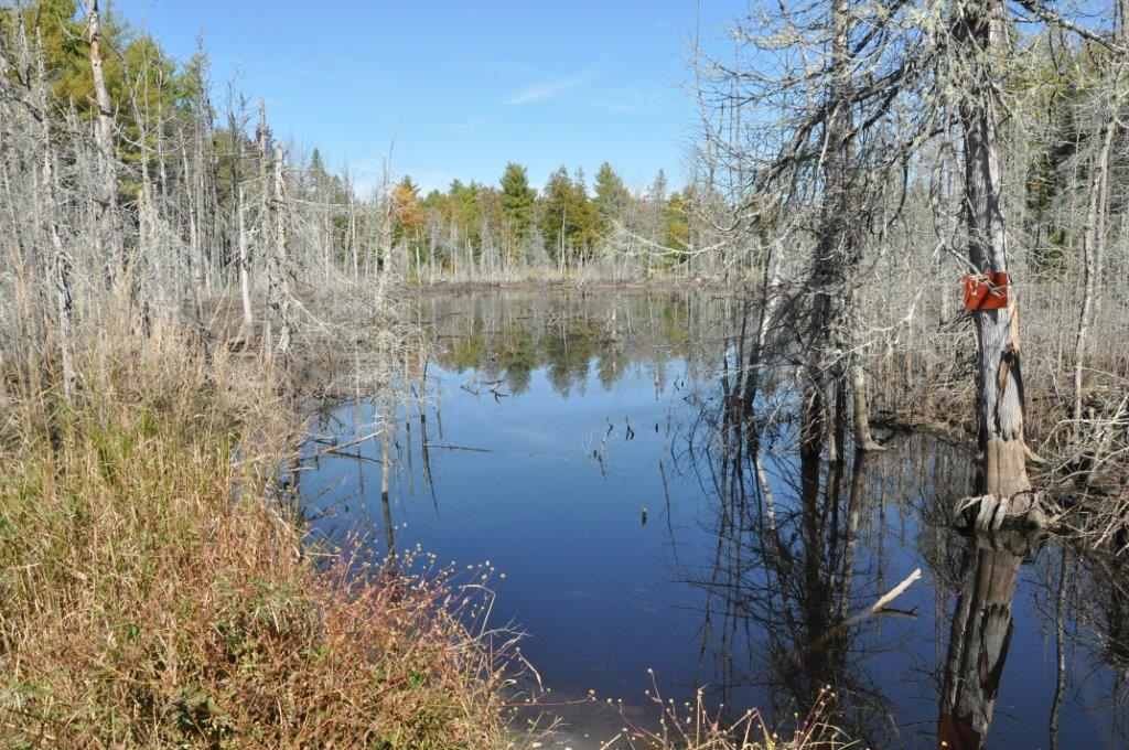 L 67.4-6 L 67.4-6 Ridge Road Belfast, ME 04915 - Photo 15 of 31 9-26-14 Waldo 81 Acres 253