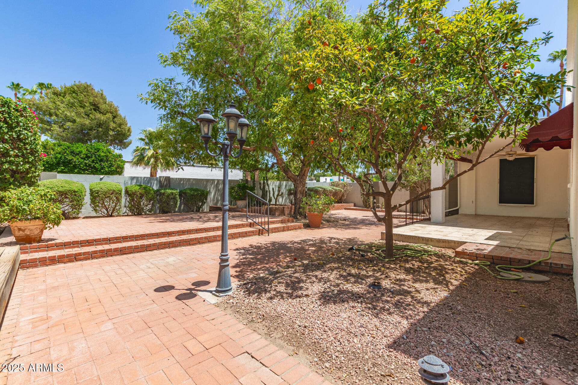 38 East Calavar Road Phoenix, AZ 85022 - Photo 42 of 45 a view of a yard with plants
