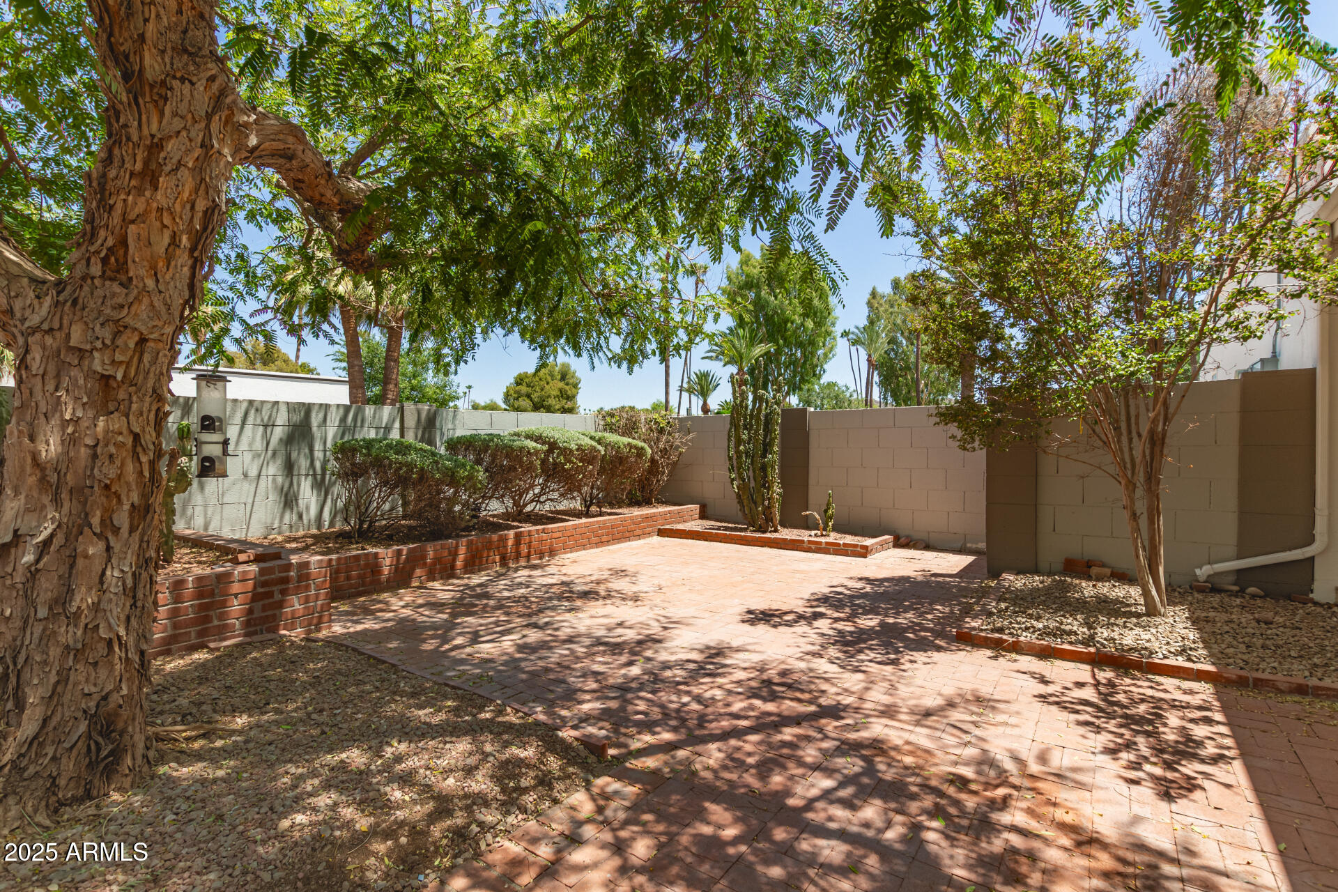 38 East Calavar Road Phoenix, AZ 85022 - Photo 44 of 45 a street view covered with snow
