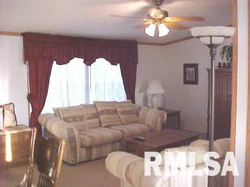 189 Hill Road De Soto, IL 62924 - Photo 3 of 4 Gallery Image 3