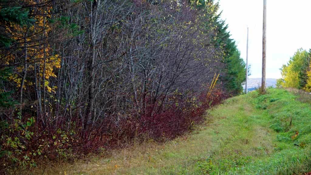 Lot 46 Benn Hill Road Houlton, ME 04730 - Photo 17 of 32 benn-hill-land-linneus-me