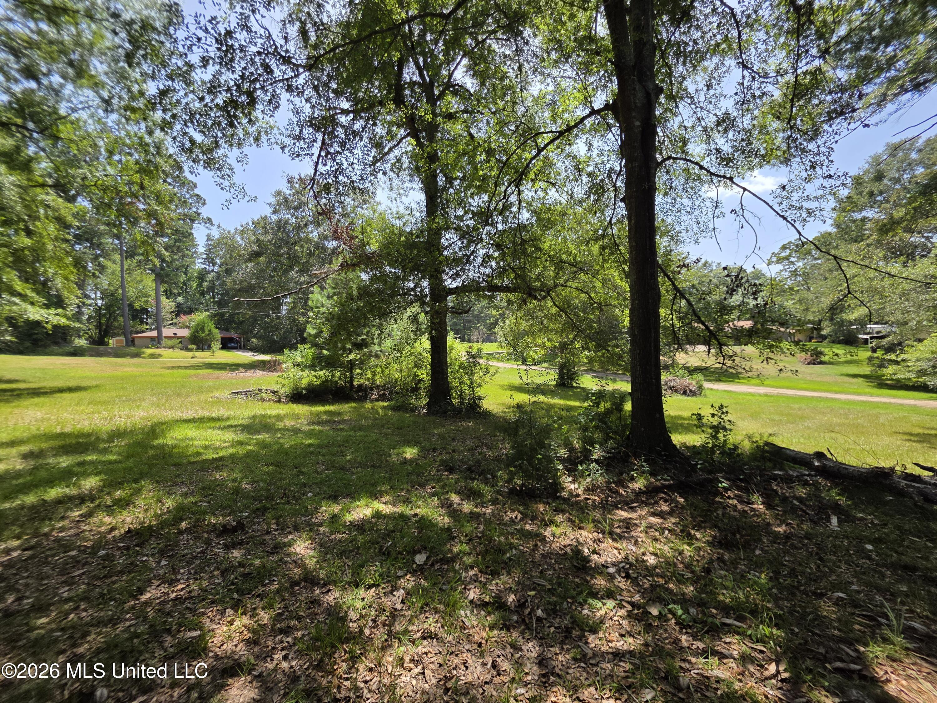 1041 3rd Street Wesson, MS 39191 - Photo 18 of 21 36606
