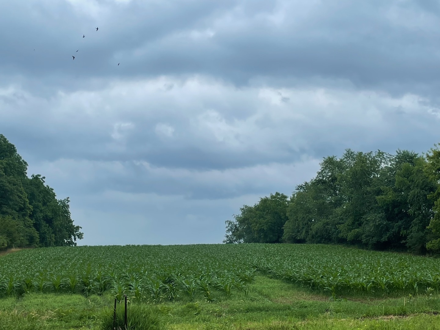 12505 Beaverton Road Poplar Grove, IL 61065 - Photo 35 of 36