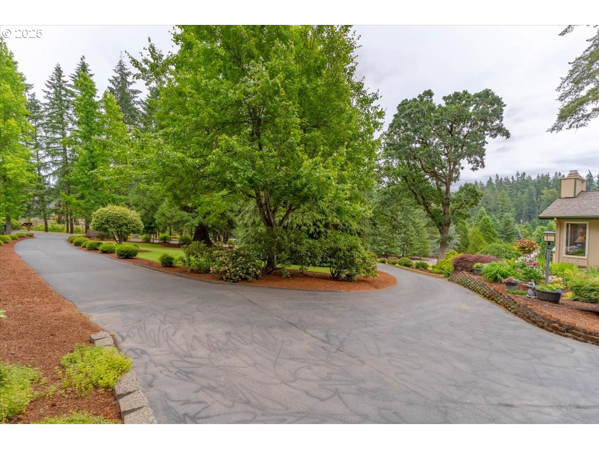 9076 Daleview Road Southeast Salem, OR 97317 - Photo 43 of 45 a view of a road with plants and a bench