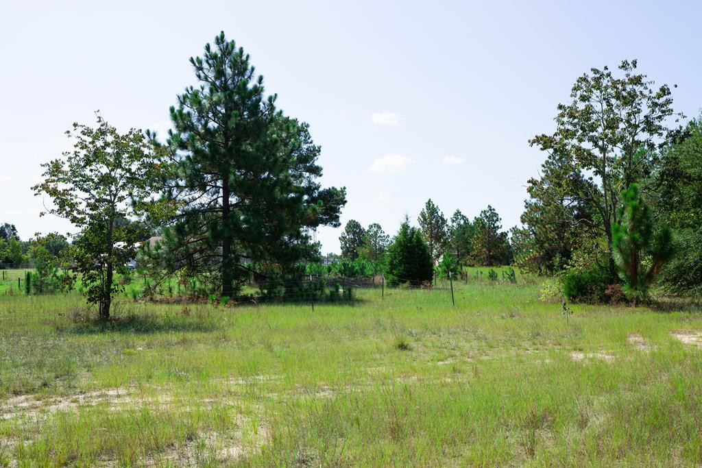1161 Cumbee Trail Road Aiken, SC 29805 - Photo 33 of 33