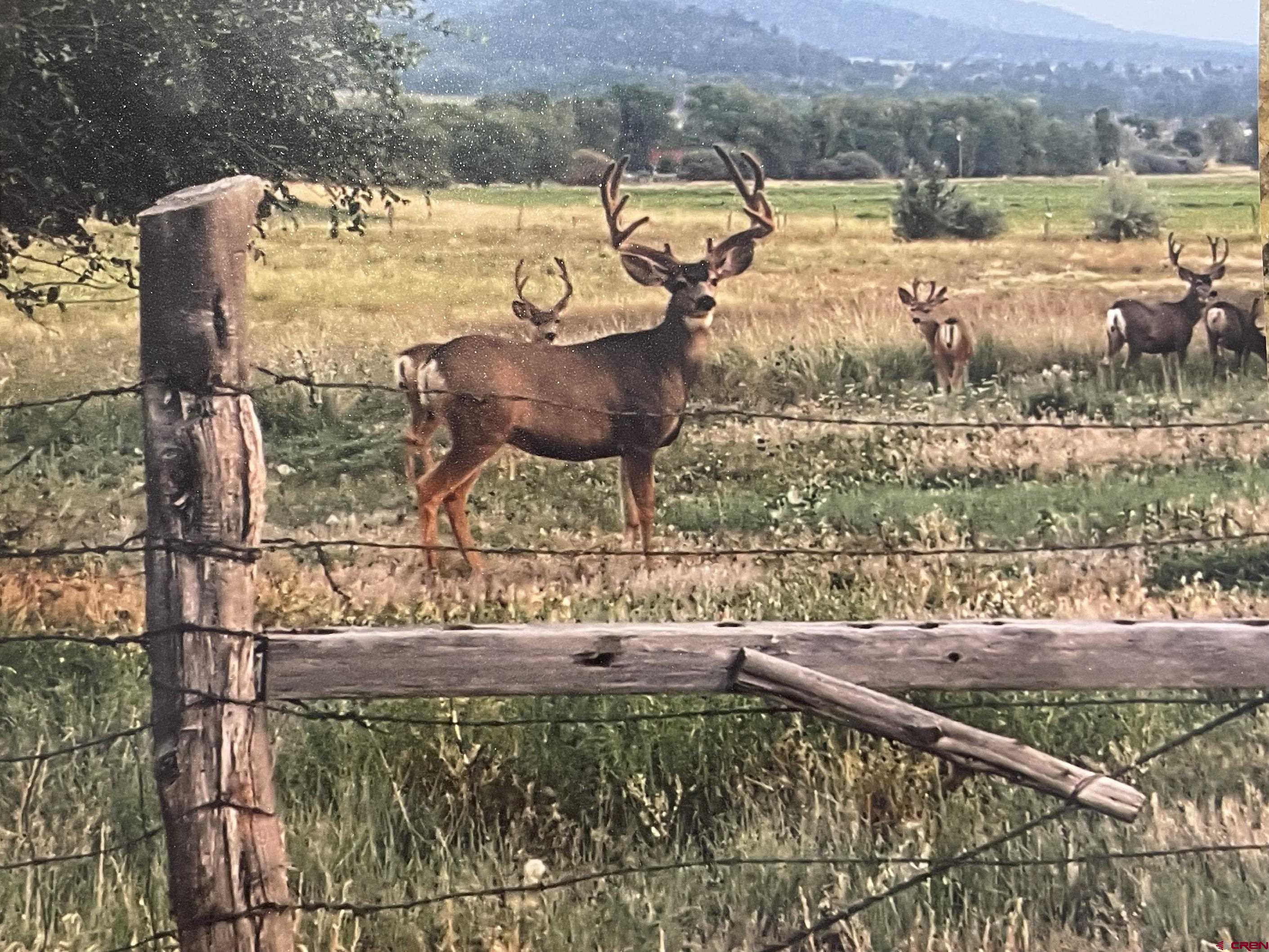 3-4 G 25 Road Mancos, CO 81328 - Photo 2 of 13
