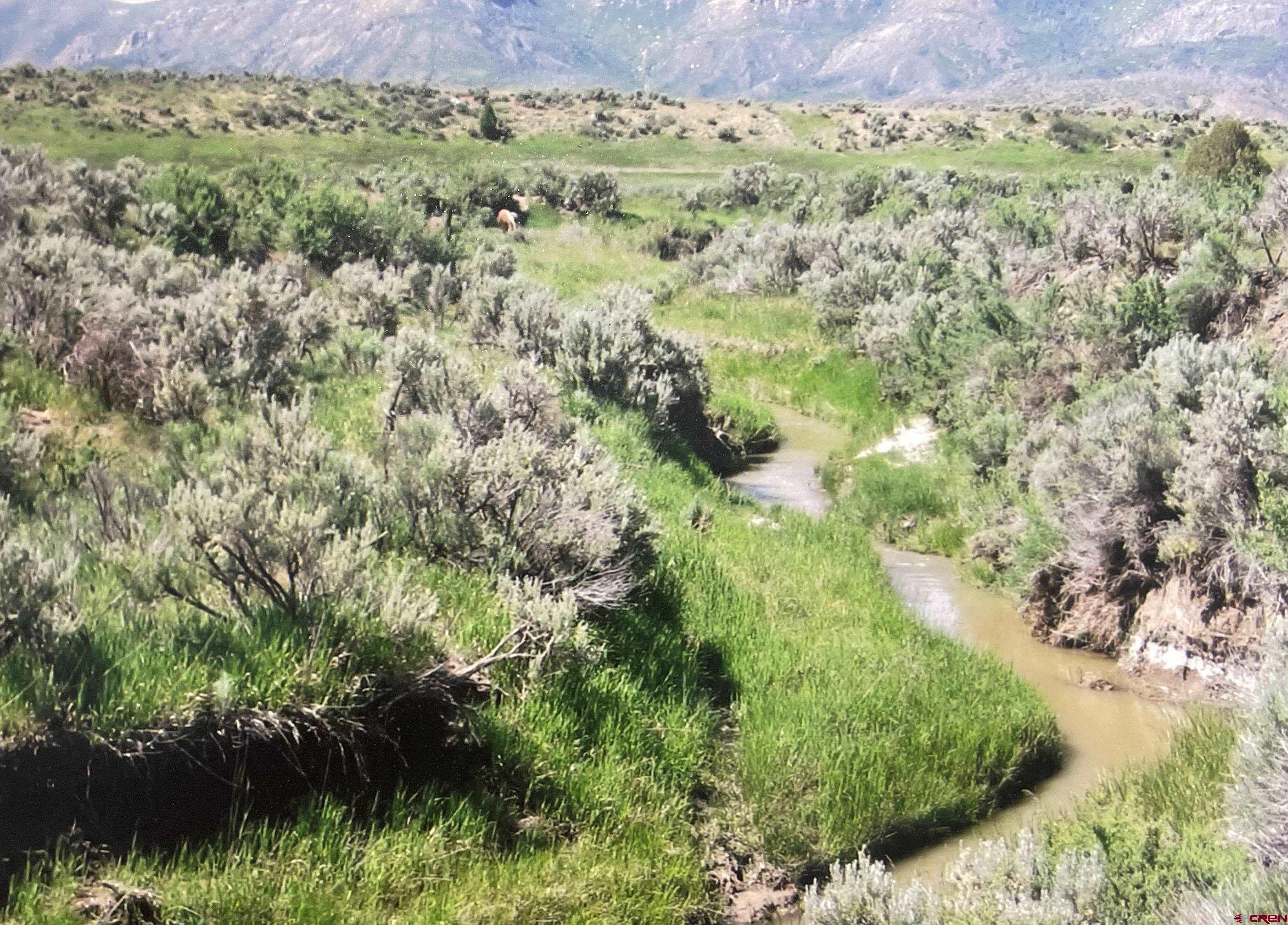 3-4 G 25 Road Mancos, CO 81328 - Photo 3 of 13 a view of a garden with a tree