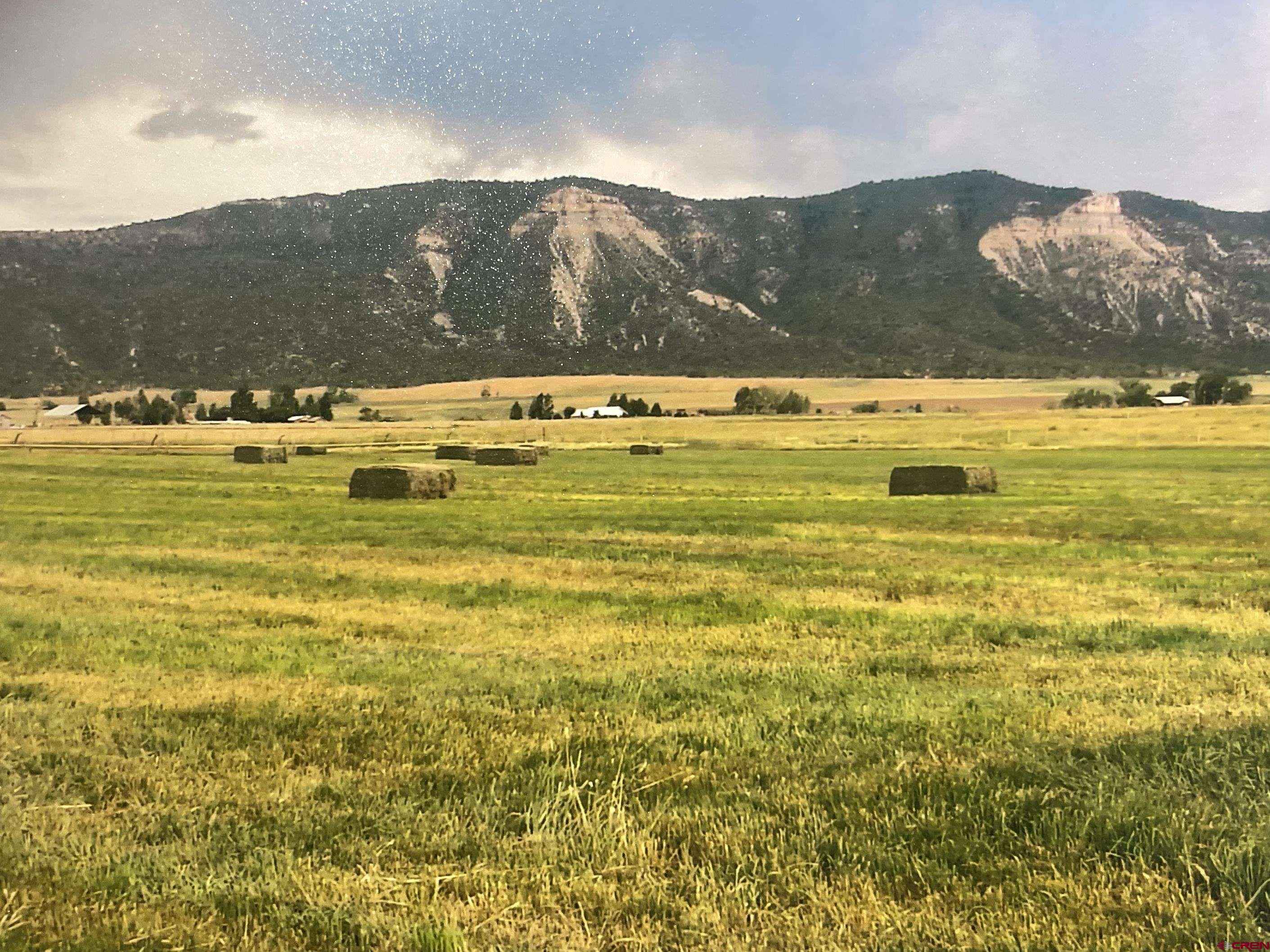 3-4 G 25 Road Mancos, CO 81328 - Photo 4 of 13