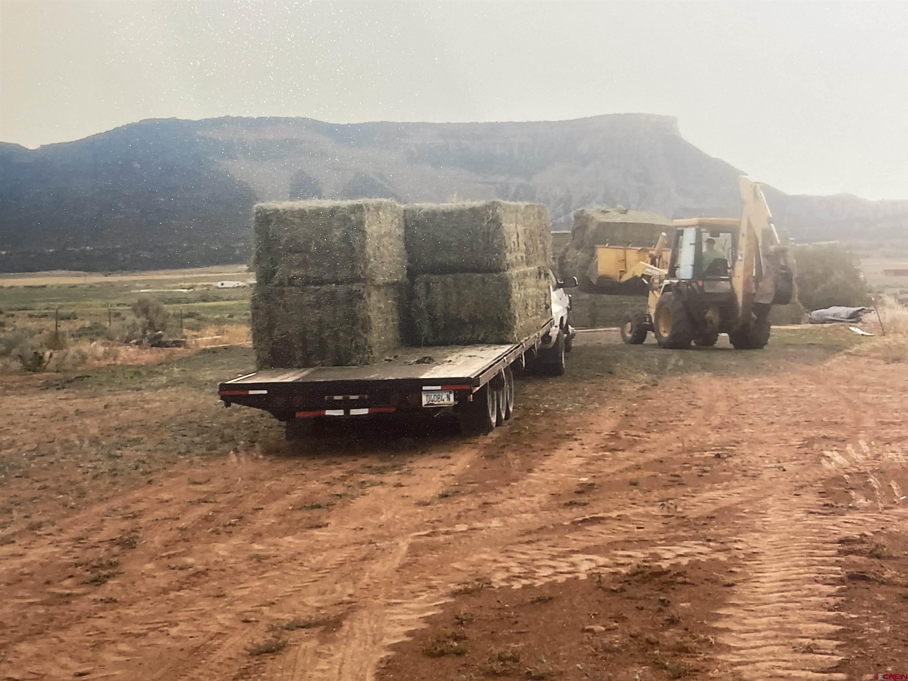 3-4 G 25 Road Mancos, CO 81328 - Photo 8 of 13