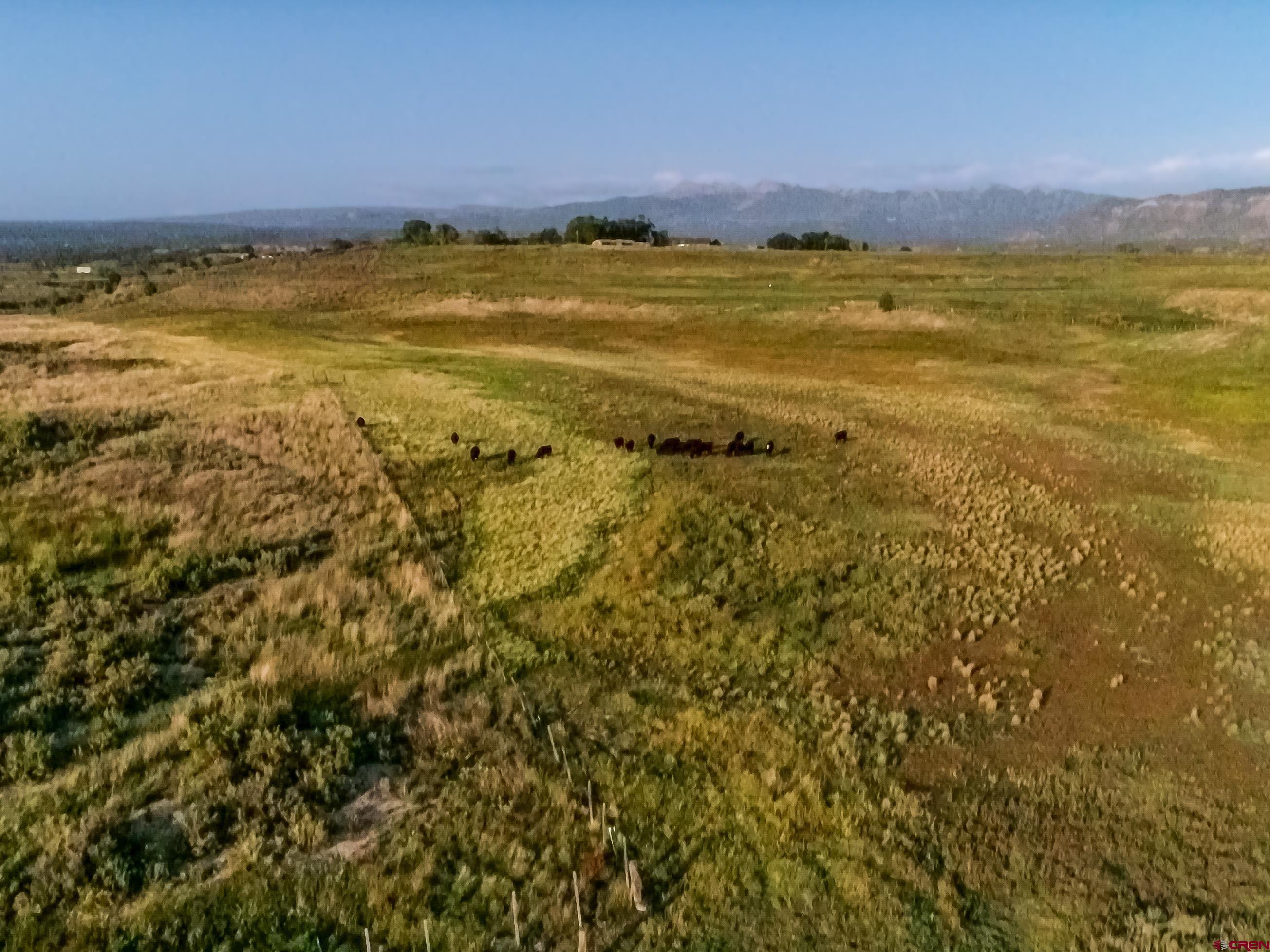 3-4 G 25 Road Mancos, CO 81328 - Photo 9 of 13