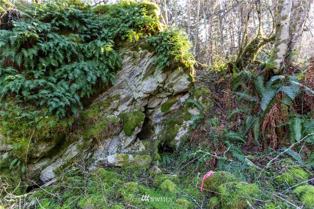 5161 Roche Harbor Road San Juan Island, WA 98250 - Photo 36 of 40 Gallery Image 36