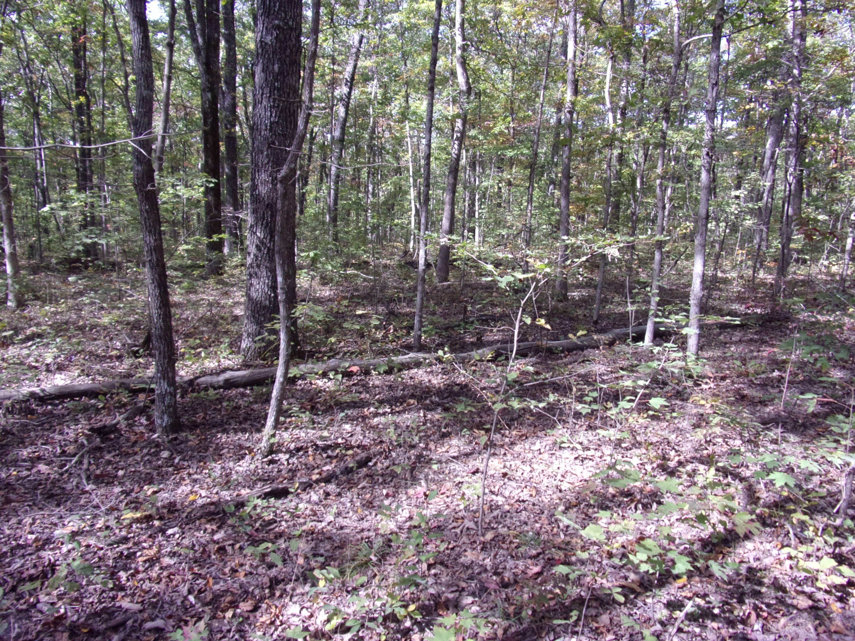 0 Ridge Road West, Unit 304 Crossville, TN 38572 - Photo 4 of 11 101_0373