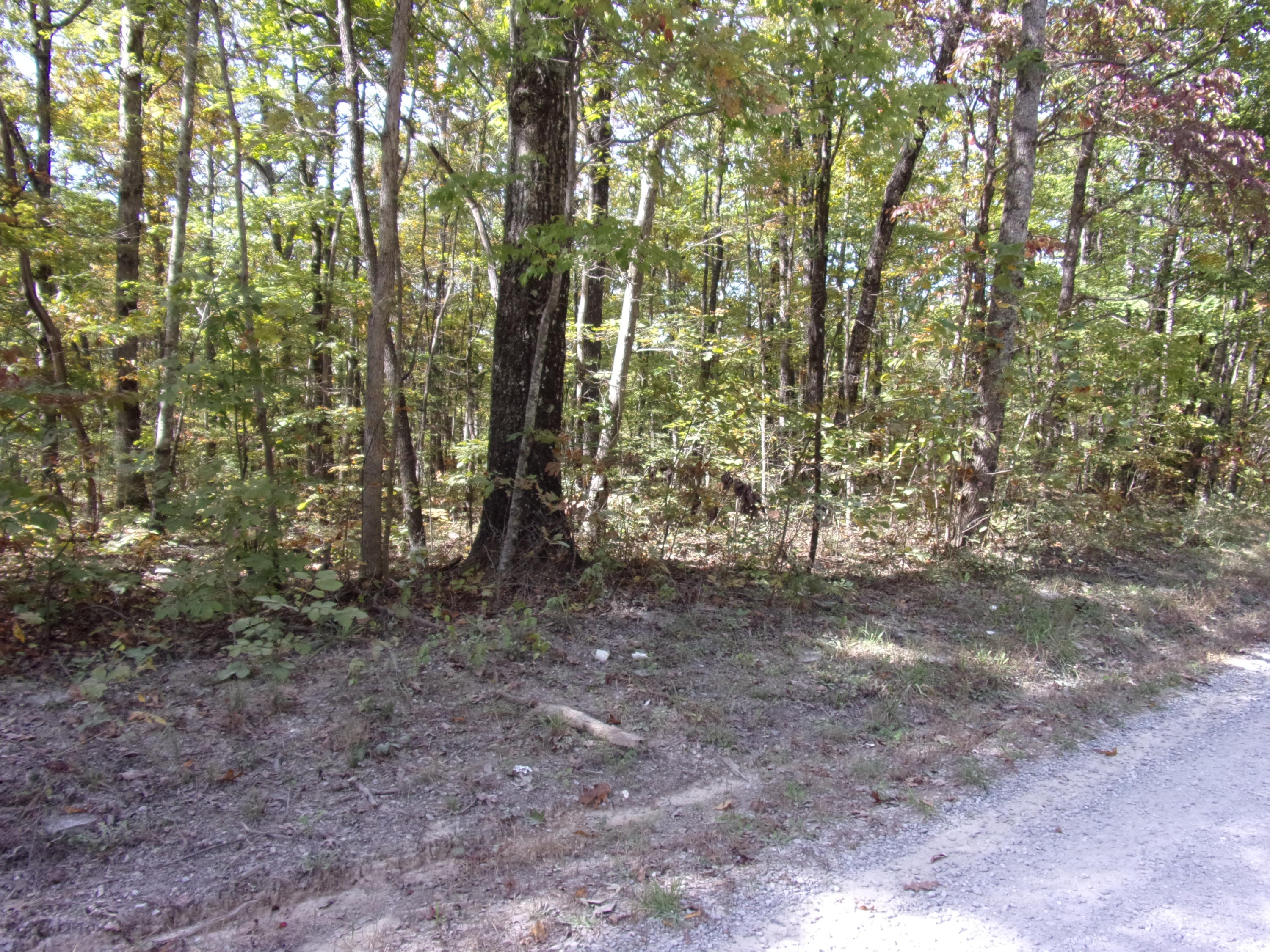 0 Ridge Road West, Unit 304 Crossville, TN 38572 - Photo 8 of 11 101_0377