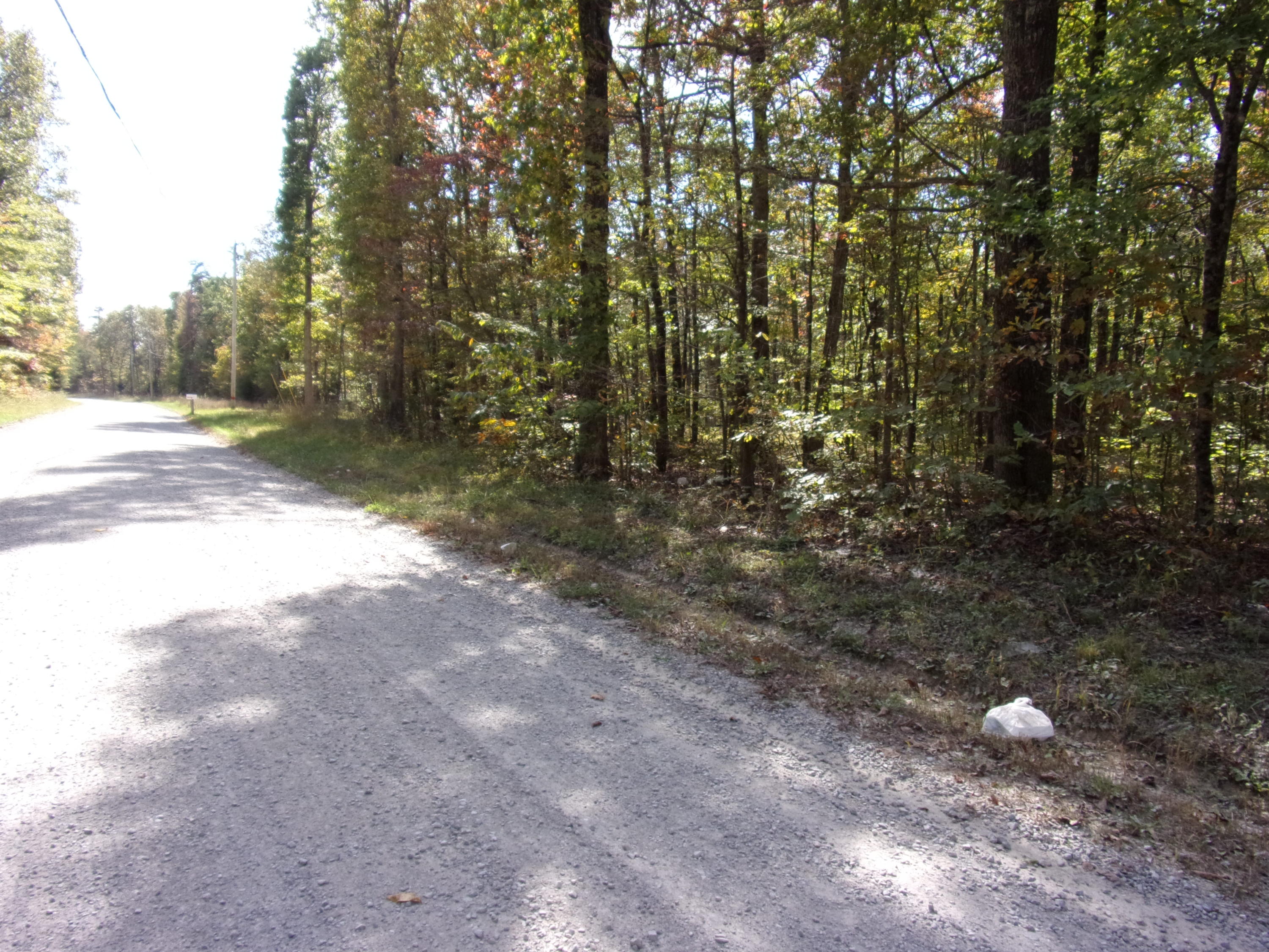 0 Ridge Road West, Unit 304 Crossville, TN 38572 - Photo 10 of 11 101_0378