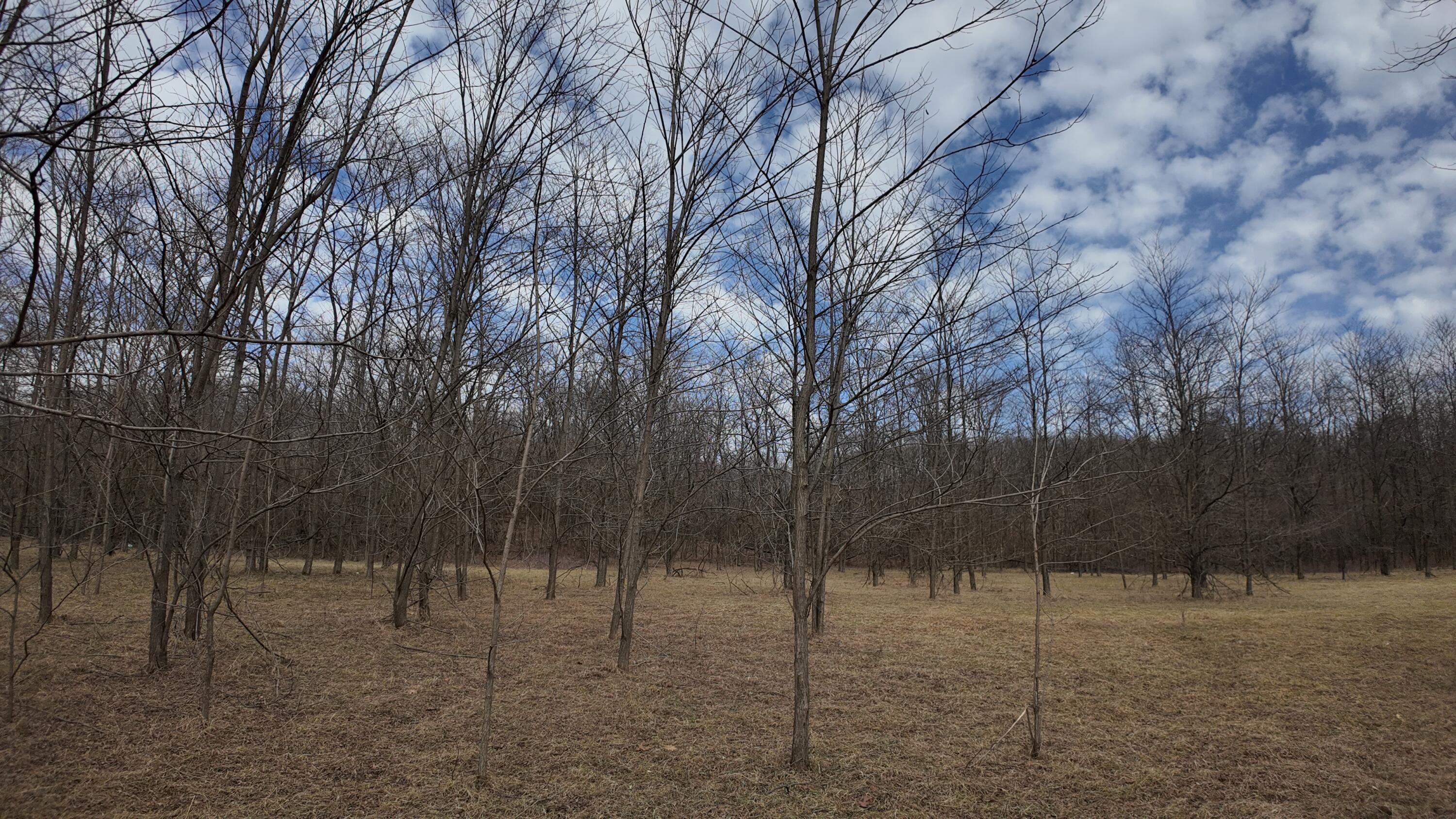 Lt1 Freedom Road Oxford, WI 53952 - Photo 1 of 1 DJI_20260309105827_0009_D
