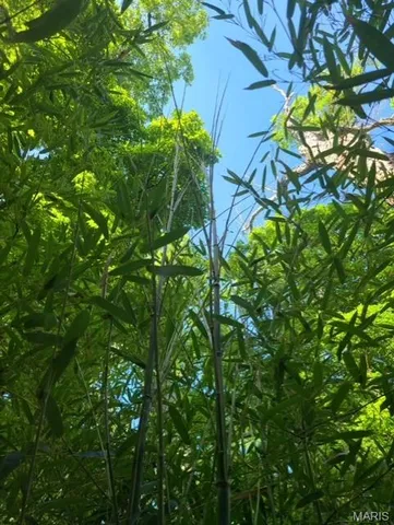 $515,000 | 6252 North Lakeshore Drive, Byrnes Mill, MO 63051