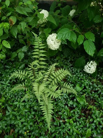 $499,900 | 6252 North Lakeshore Drive, Byrnes Mill, MO 63051