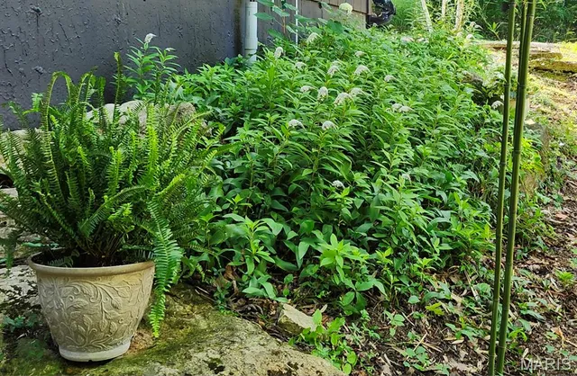 $515,000 | 6252 North Lakeshore Drive, Byrnes Mill, MO 63051