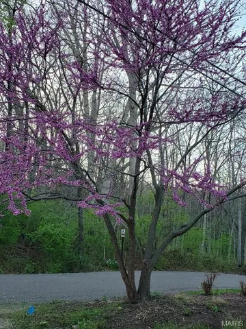 $499,900 | 6252 North Lakeshore Drive, Byrnes Mill, MO 63051