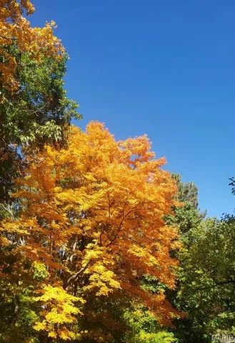 $515,000 | 6252 North Lakeshore Drive, Byrnes Mill, MO 63051