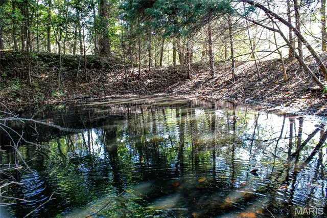 $513,000 | Tbd Tbd Brownsville Road, Stoutland, MO 65567